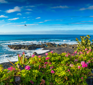 K&uuml;ste von Teneriffa mit schwarzem Lavagestein, bunten Blumen im Vordergrund und dem tiefblauen Atlantik unter einem wolkigen Himmel.