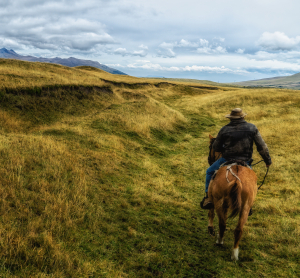 Ein Reiter auf einem Pferd durchquert eine weite, goldene Hügellandschaft unter dramatisch bewölktem Himmel.