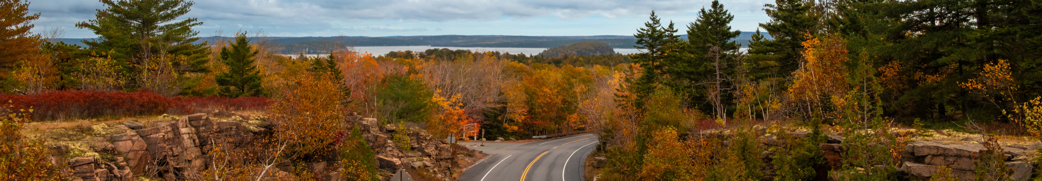 Malerische Stra&szlig;e entlang des Acadia-Nationalparks, Maine, USA, mit den herbstlichen Laubfarben und dem Meer im Hintergrund.