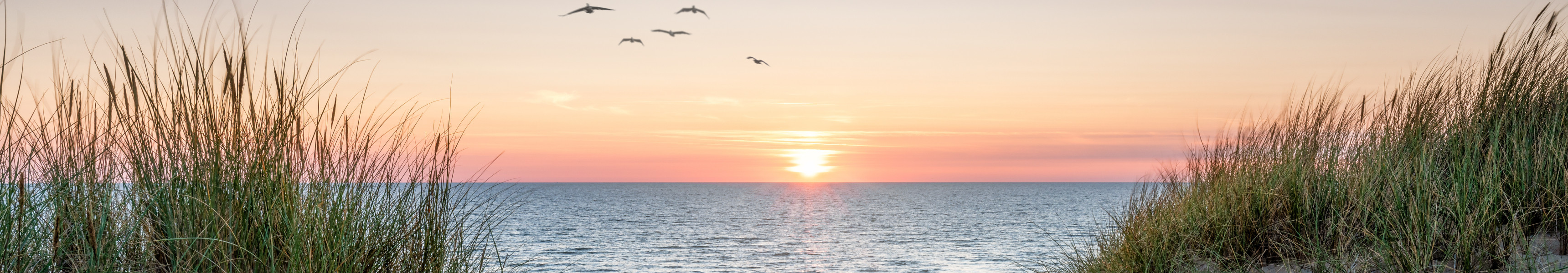 Sonnenuntergang am Strand mit Dünen und fliegenden Möwen an der Ostsee