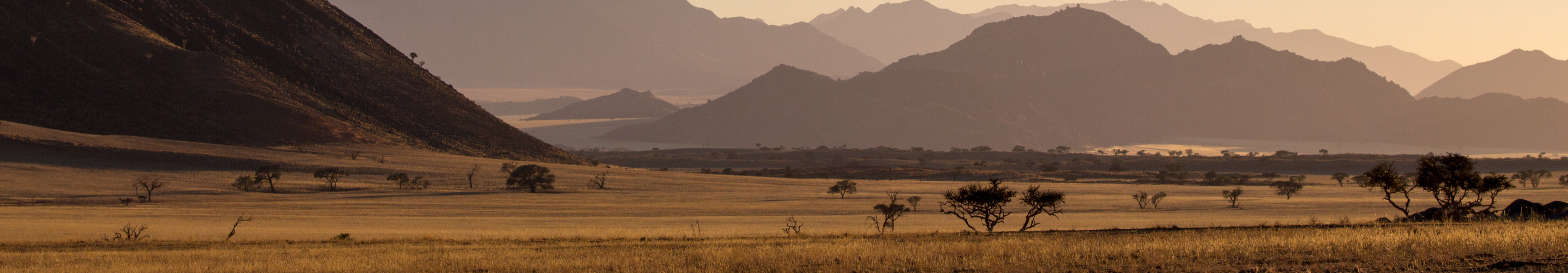 Weite Savannenlandschaft in warmem Abendlicht mit einzelnen Akazienb&auml;umen, sanften H&uuml;geln und einer Bergkette im Hintergrund unter klarem Himmel.