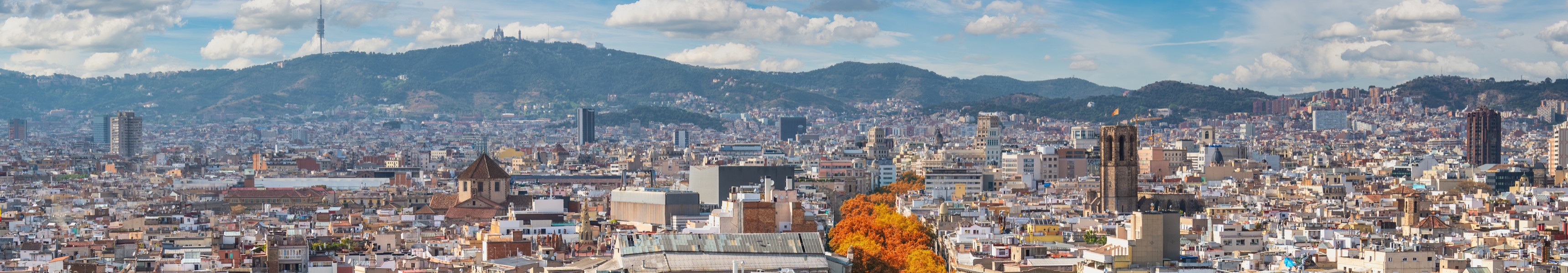 Panoramablick auf Barcelona mit der berühmten Flaniermeile La Rambla.