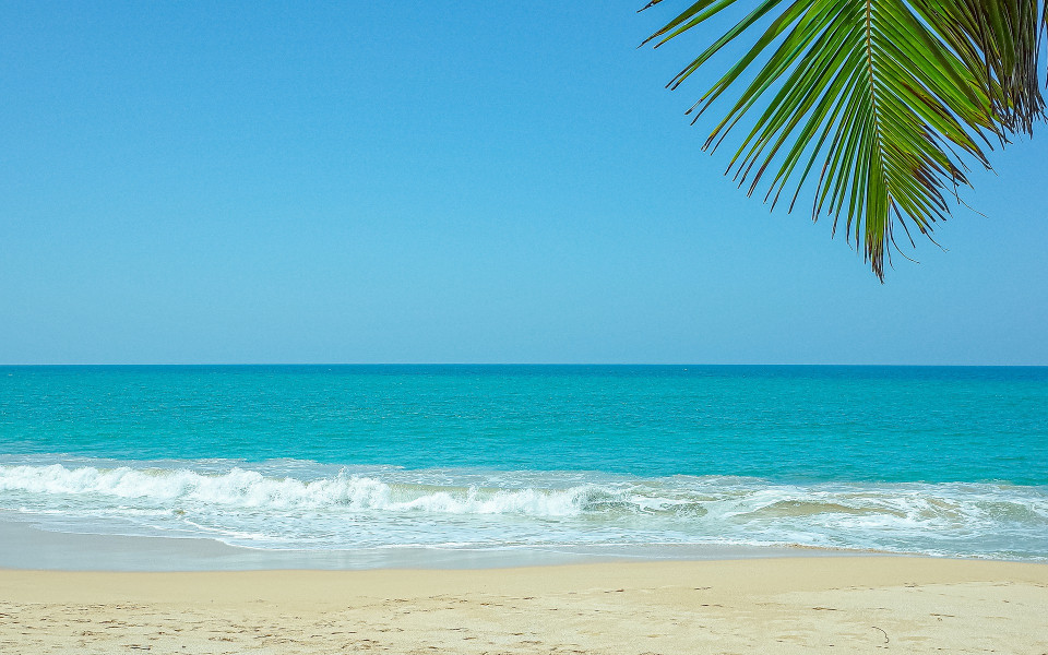 Sandstrand mit Palmen und Meerblick