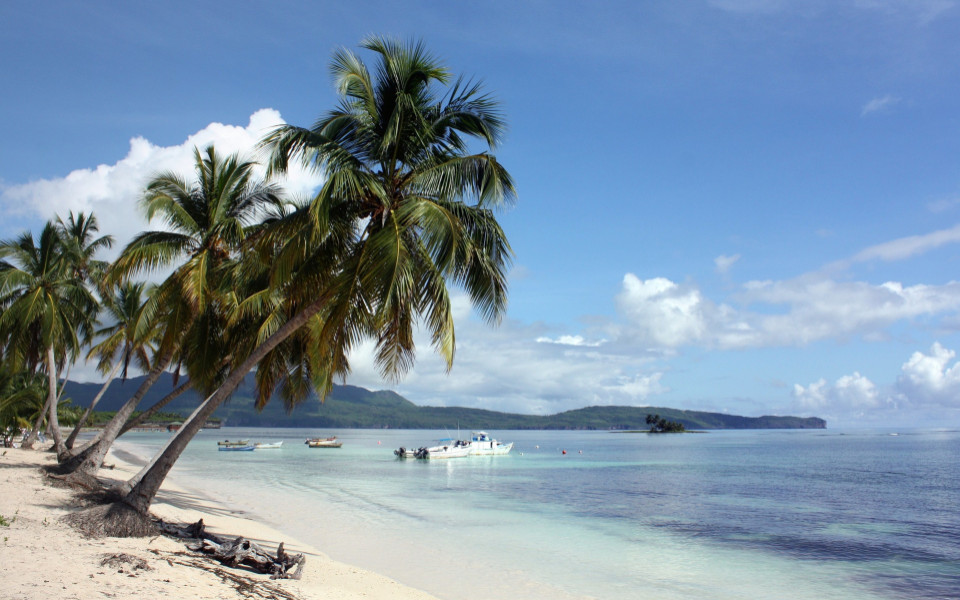 Strand mit Palmen in der Dom Rep