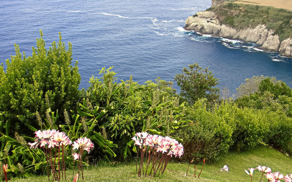 Insel São Miguel auf den Azoren