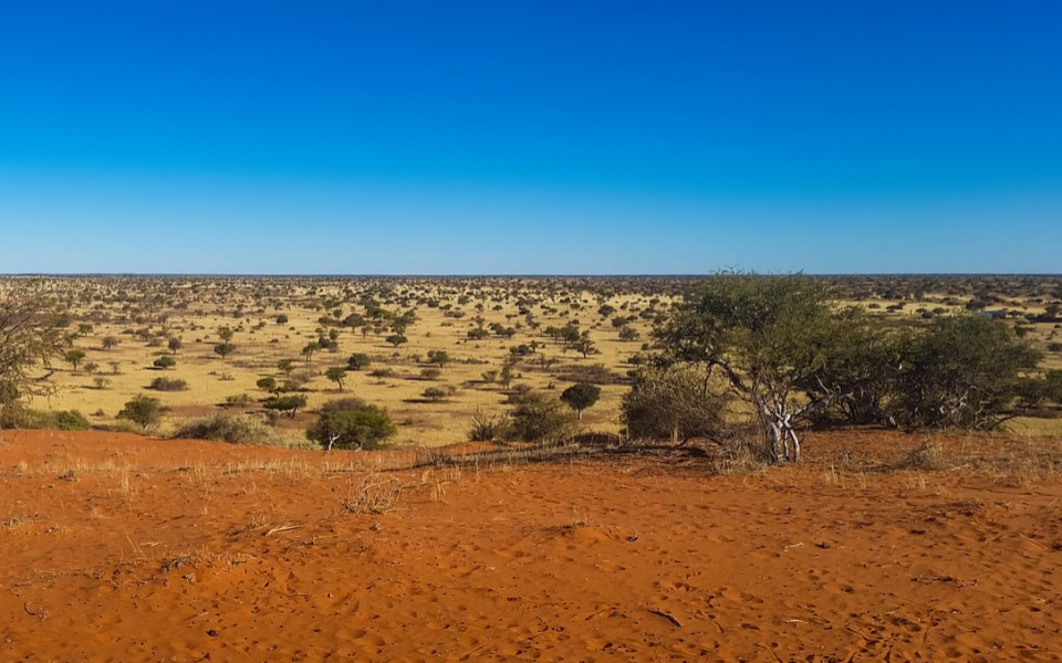 Wüste in Südafrika