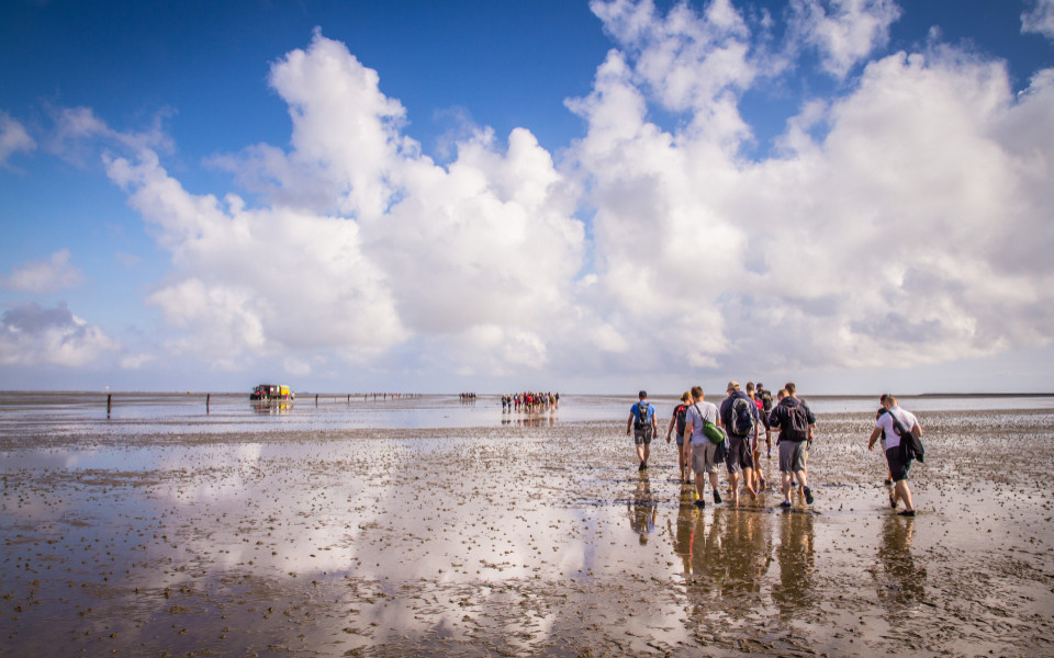 Wattwanderung an der Nordsee