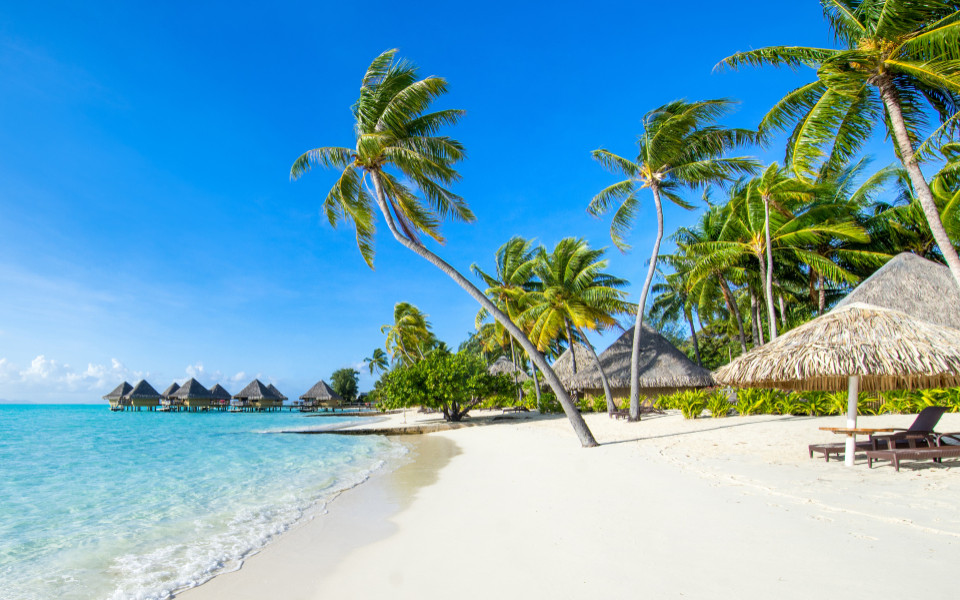 Wissenswertes zum Malediven Urlaub