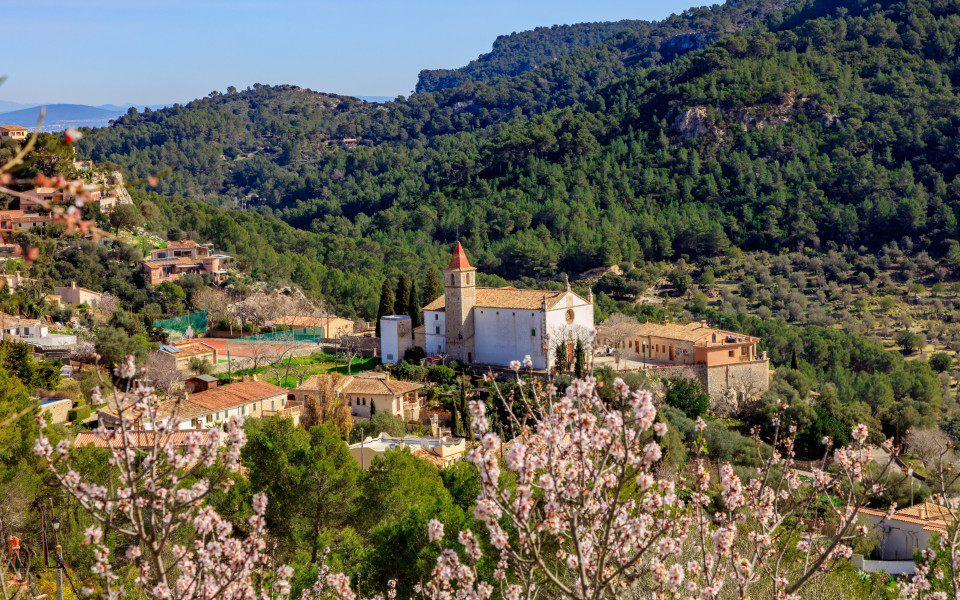Kirche von Galilea im Fr&uuml;hling mit der Mandelbl&uuml;te