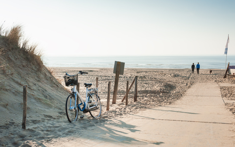 Zwei M&auml;nner gehen mit Hund am Strand spazieren, an der K&uuml;ste in Noordwijk