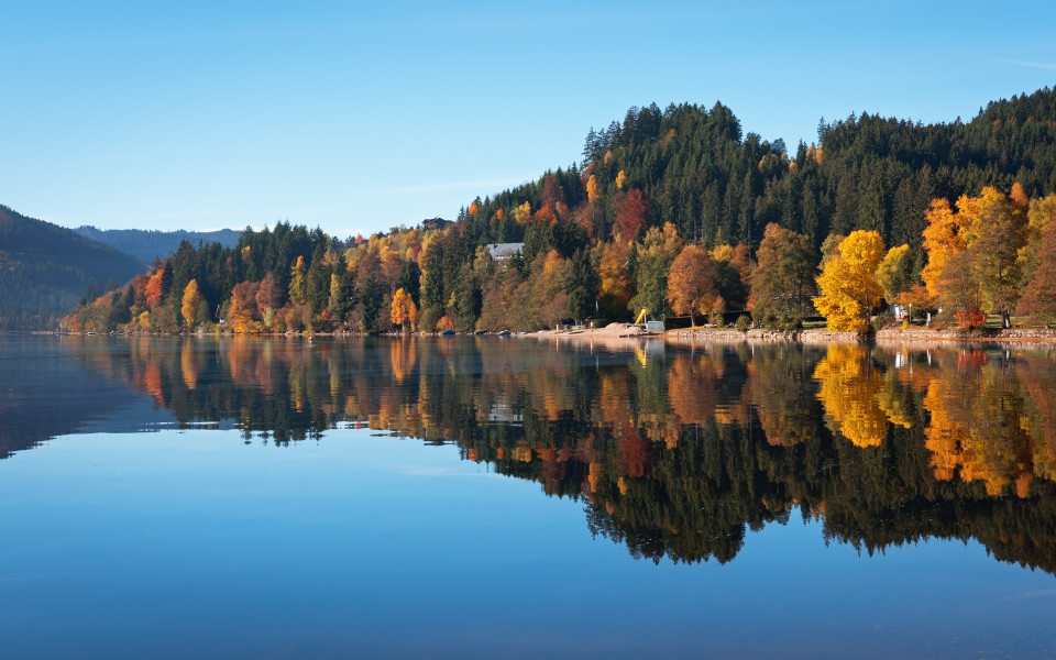 Herbstwald spiegelt sich in der Oberfläche des Titisees, Deutschland