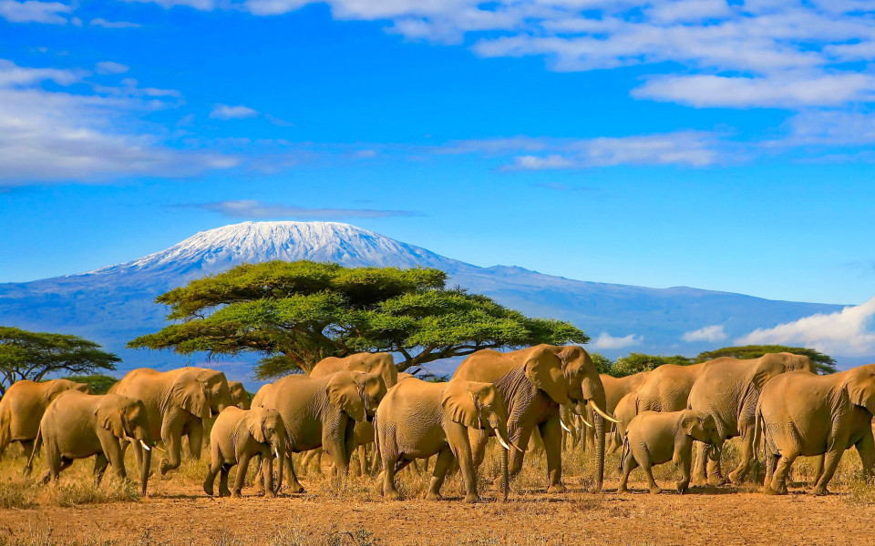 Kenia