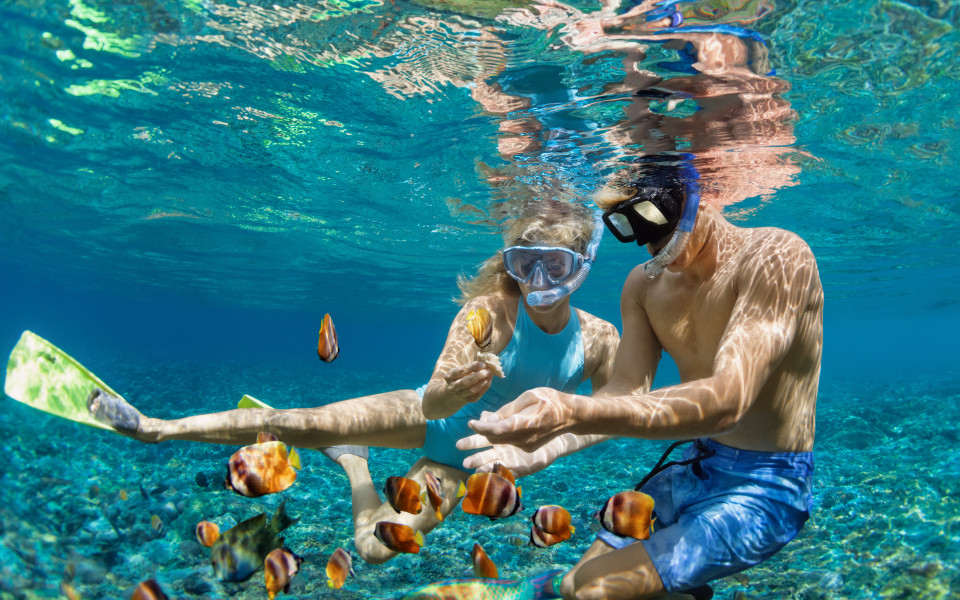 Tauchen im Roten Meer