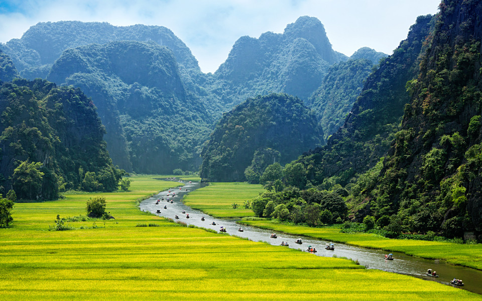 Reisfelder und Fluss in Ninh Binh Vietnam